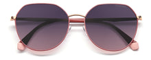 Load image into Gallery viewer, Polaroid Pantos shaped Unisex SunGlasses PLD 4106/G/S YK9 59XW